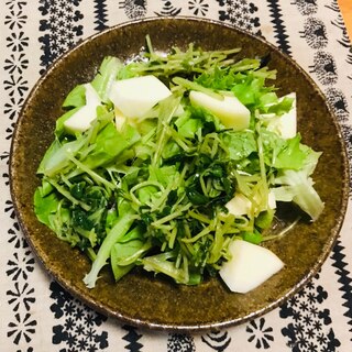 りんごと豆苗のサラダ